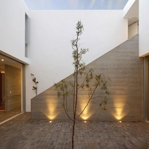 LED Well Landscape Lights 6W Warm White In-ground Landscape Lighting IP67 Waterproof Outdoor 12V-24V Low Voltage Landscape Lighting for Driveway Deck Step Garden Outdoor