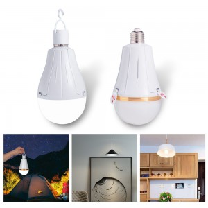 Portable Cordless Charging Emergency Bulb Recharge Bulb Emerg Led Lights With Battery Batteries